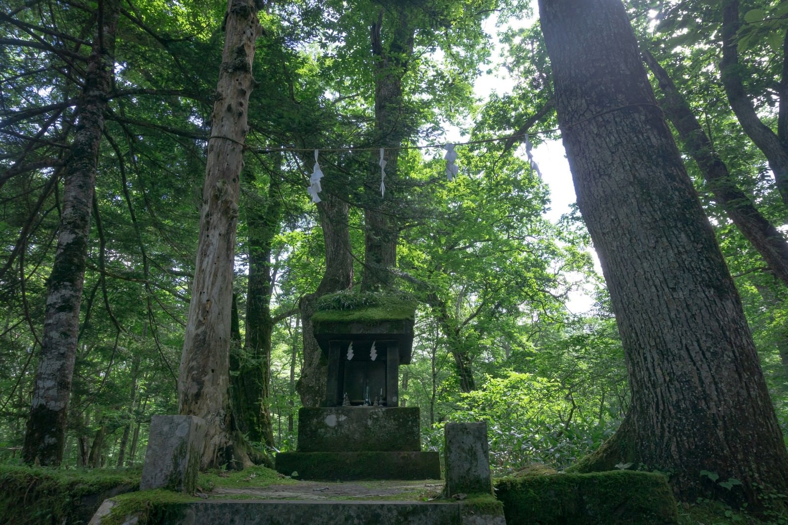 「木々の中に建つ一龕龍王（いっかんりゅうおう）を祀る石造りの小さな祠」の写真
