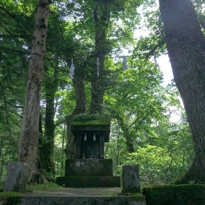 木々の中に建つ一龕龍王（いっかんりゅうおう）を祀る石造りの小さな祠の写真