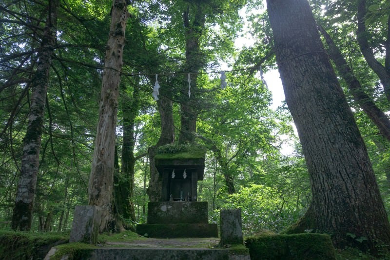 木々の中に建つ一龕龍王（いっかんりゅうおう）を祀る石造りの小さな祠の写真