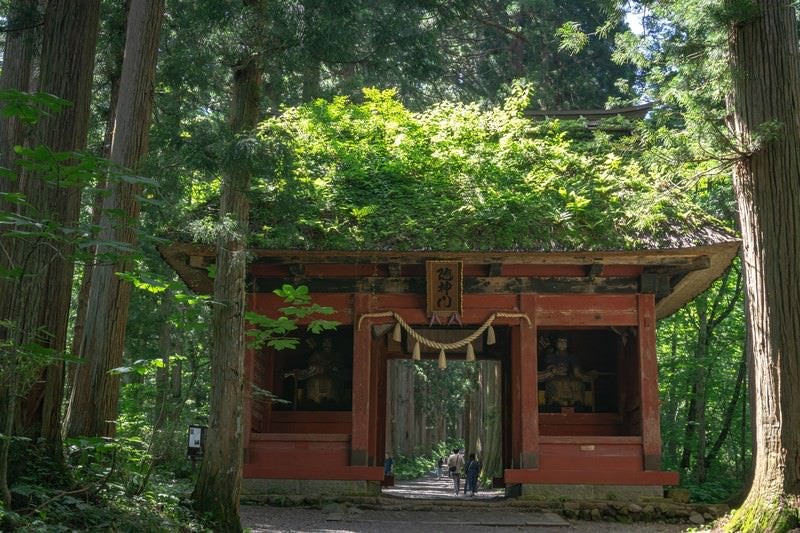 戸隠神社奥社参道に建つ茅葺屋根の随神門の写真