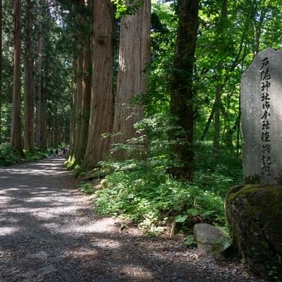 奥社杉並木と参道脇に建つ戸隠神社御本社（奥社）復興記念の碑の写真
