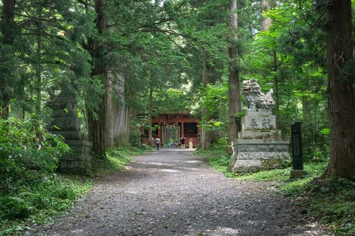 隋神門とそれを守る狛犬と杉並木の碑の写真
