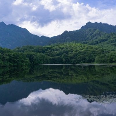 緑豊かな木々と険しい神話の山を映す夏の鏡池の写真