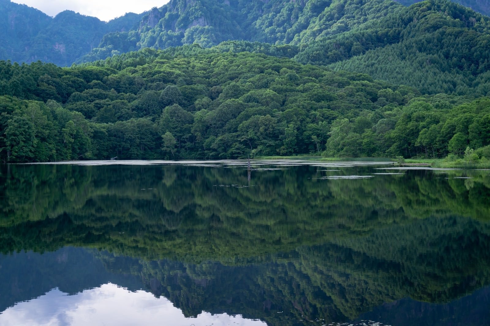 「生い茂る木々の緑が美しく水面に映える鏡池」の写真