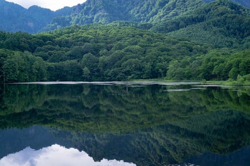 生い茂る木々の緑が美しく水面に映える鏡池の写真