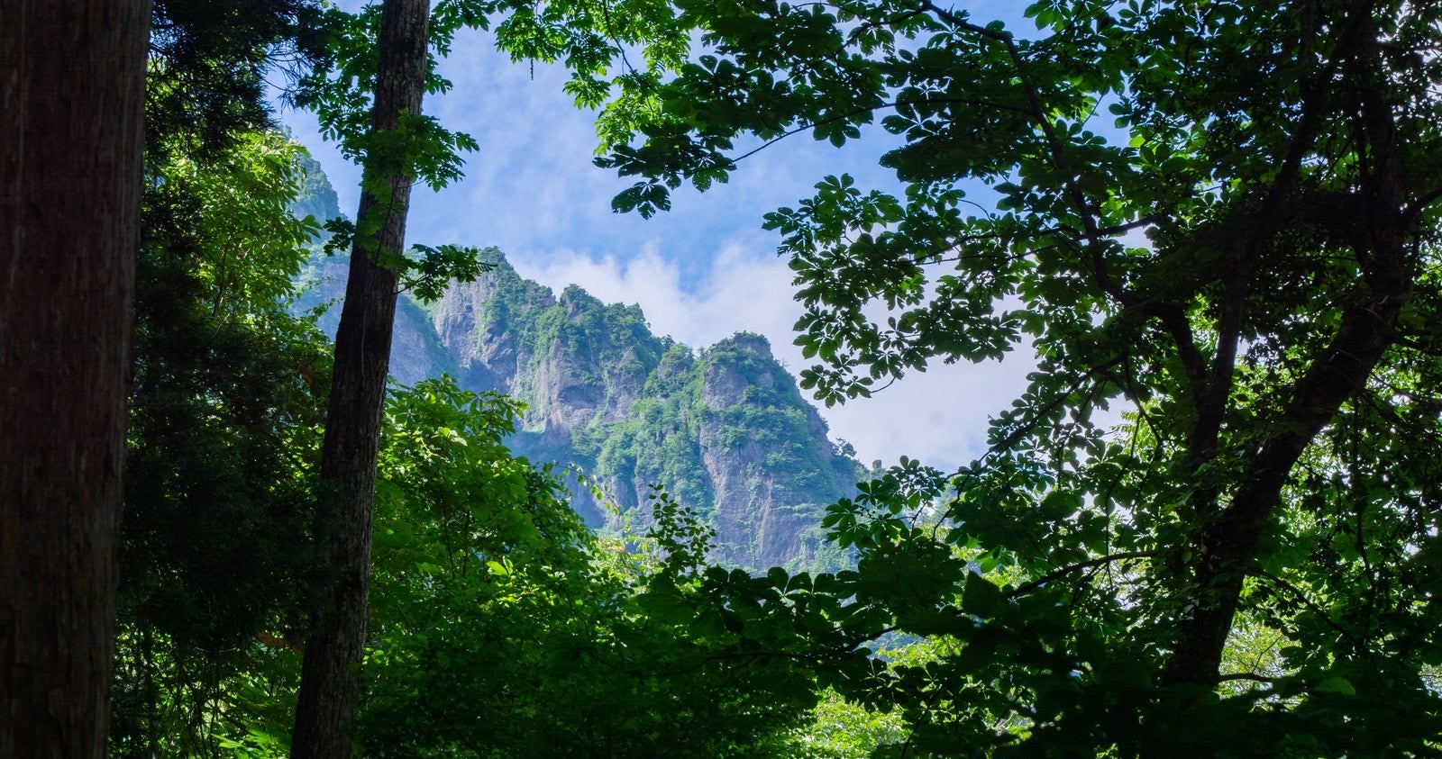 「木々の隙間から見える戸隠の急峻な山の姿」の写真