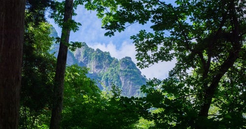 木々の隙間から見える戸隠の急峻な山の姿の写真
