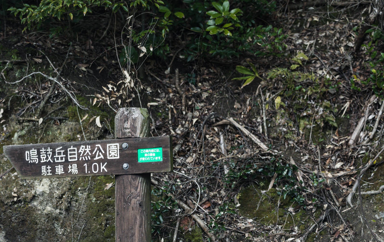 「鳴鼓岳自然公園の道標」の写真