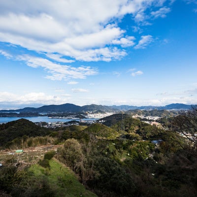 鳴鼓岳から見下ろす時津町の港の写真