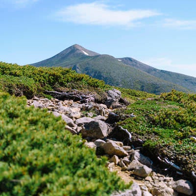 上ホロカメットク山山腹から眺める十勝岳の写真