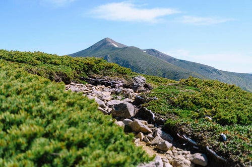 上ホロカメットク山山腹から眺める十勝岳の写真