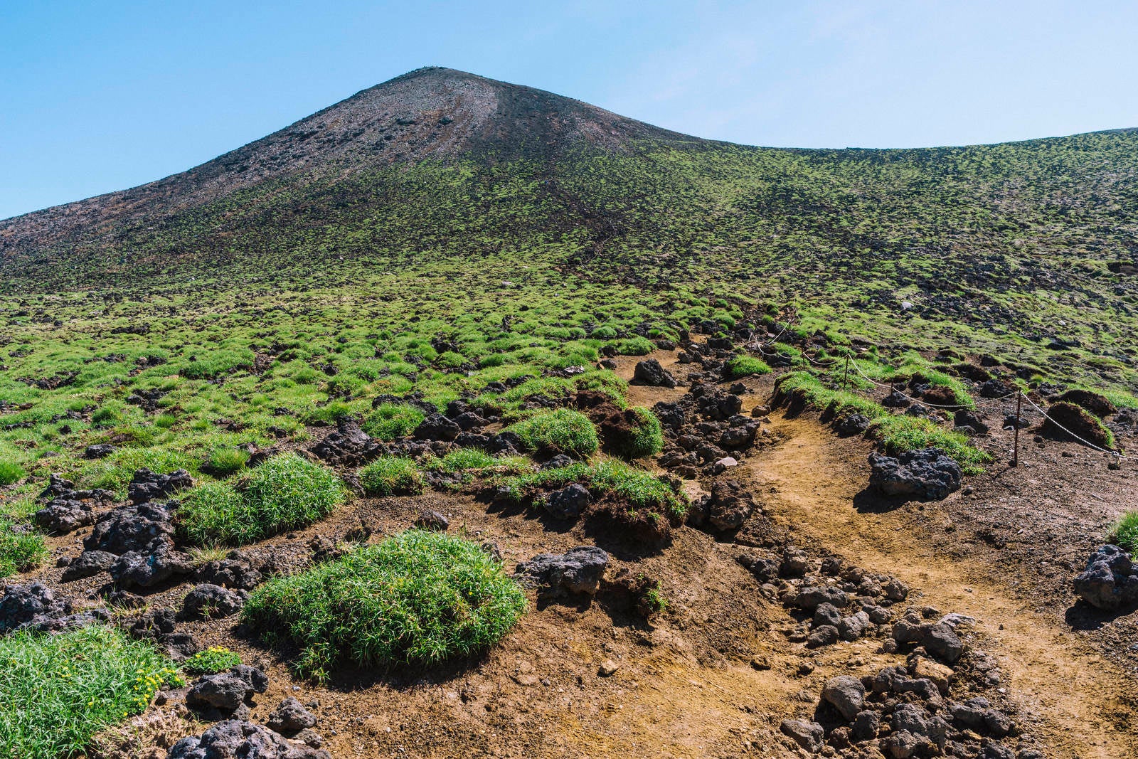 「火山性の植物が生い茂る十勝岳山頂直下」の写真