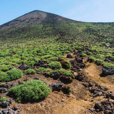 火山性の植物が生い茂る十勝岳山頂直下の写真