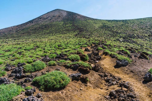 火山性の植物が生い茂る十勝岳山頂直下の写真
