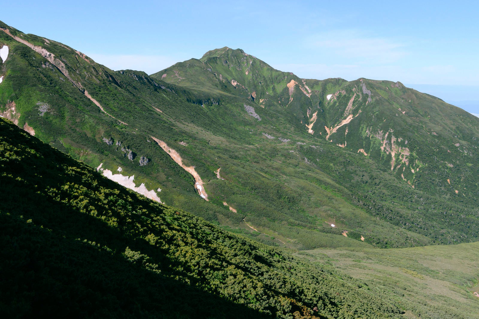「登山道から眺める富良野岳」の写真