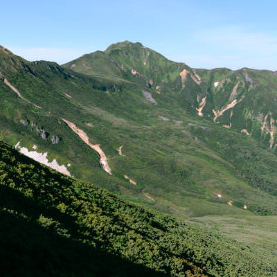登山道から眺める富良野岳の写真