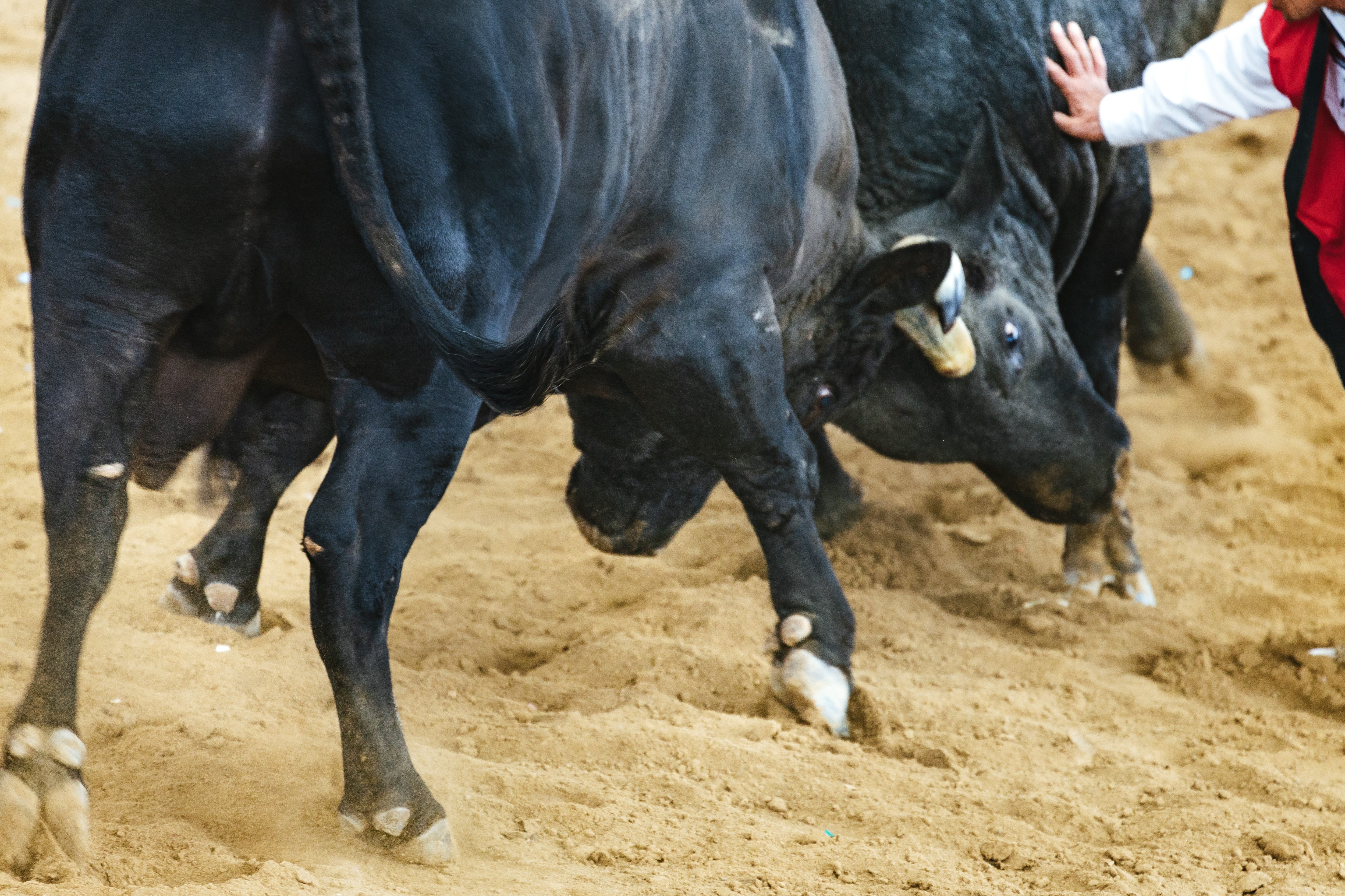 tokunoshimaIMGL3744.jpg?&