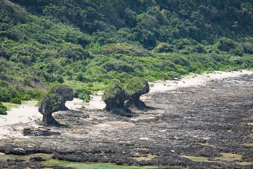 徳之島の奇岩の写真
