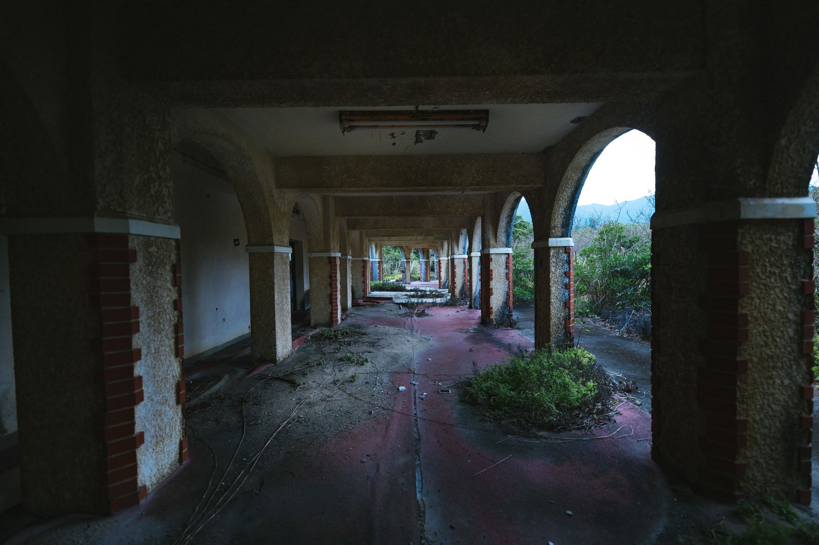 「徳之島ニューオータニ・ホテル 廃墟の様子」の写真