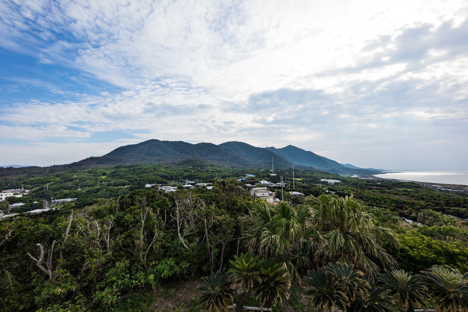 「金見崎展望台からの風景」の写真