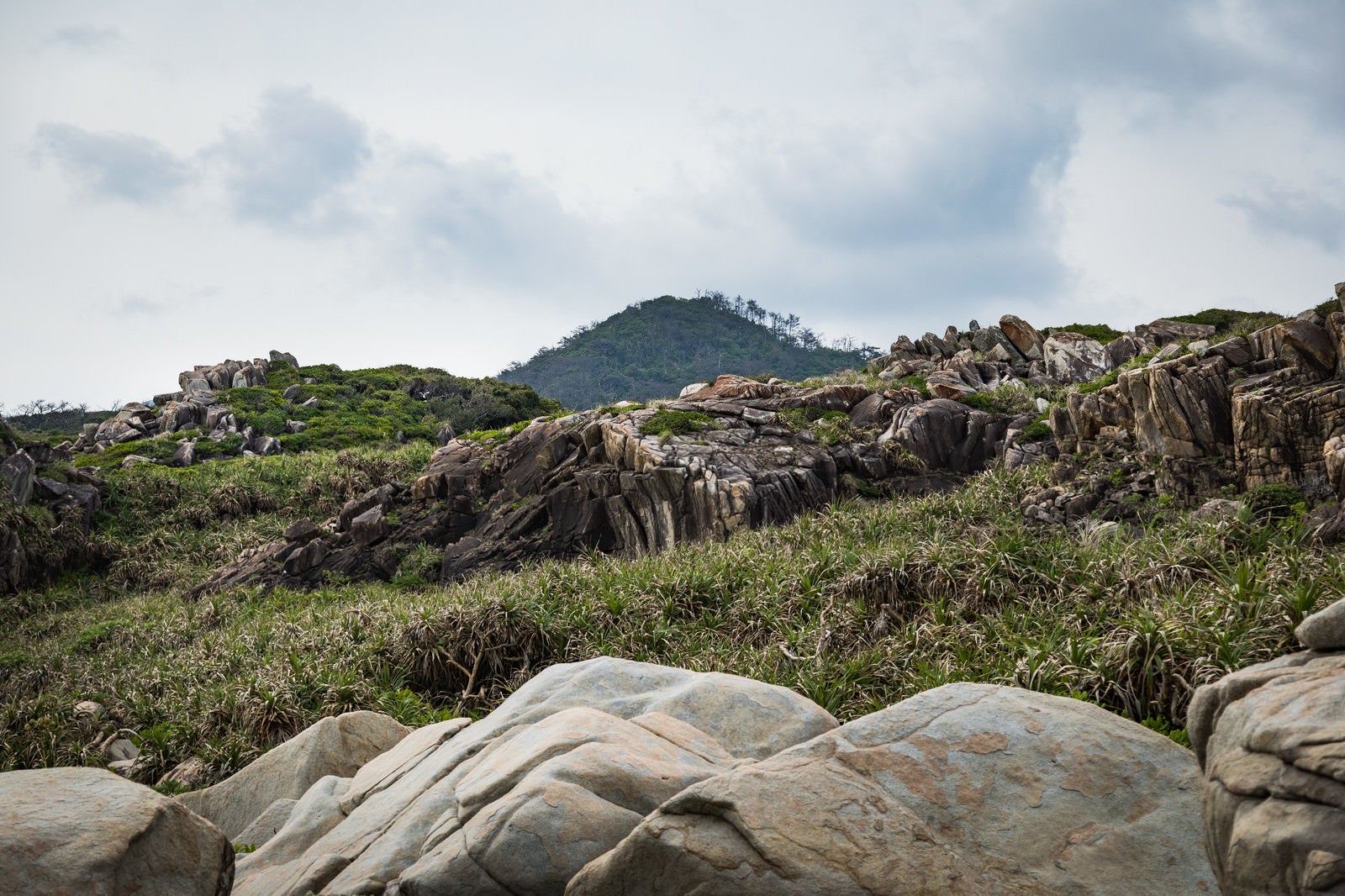 「奄美群島のムシロ瀬」の写真