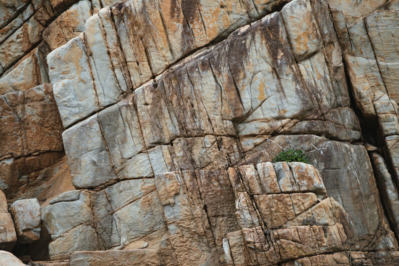 「ムシロ瀬の亀裂の入った巨大な花崗岩」の写真