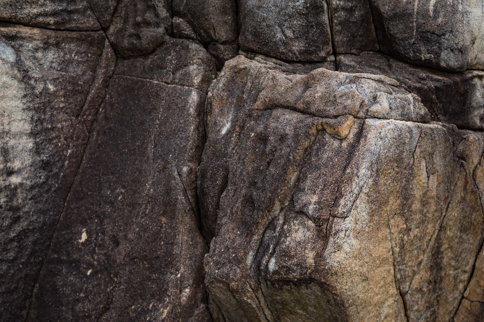 「ムシロ瀬のごつごつした岩」の写真