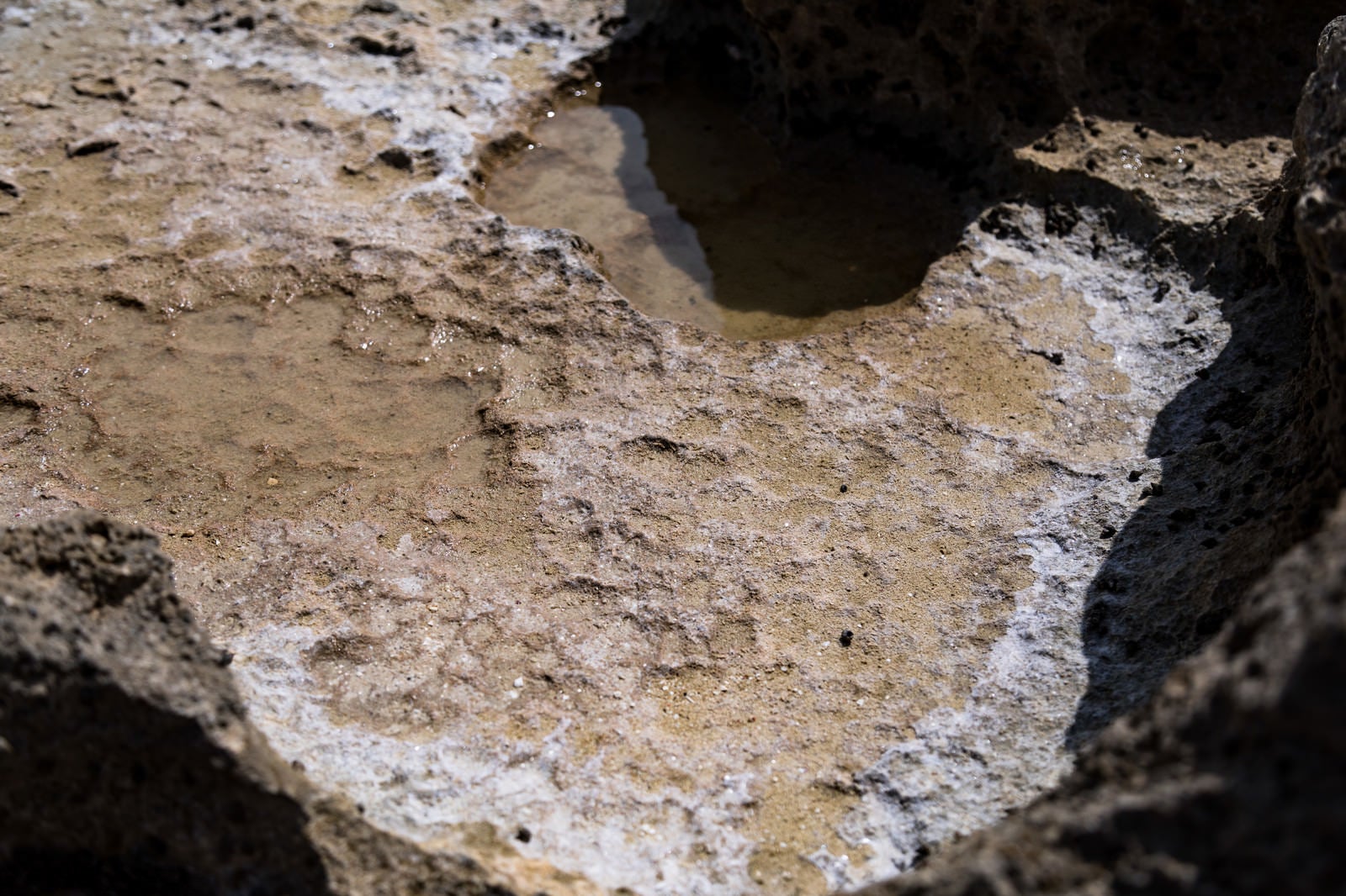 「干潟で乾燥した天然塩の結晶」の写真