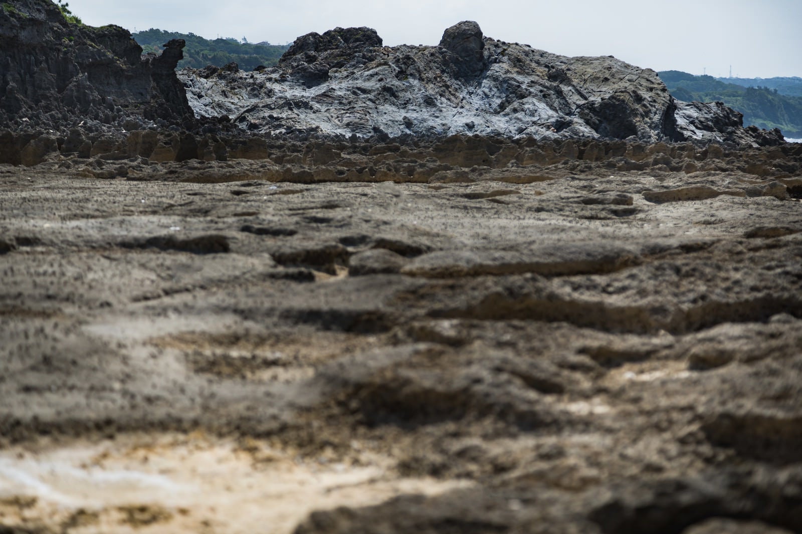 「犬田布海岸のメランジ堆積物」の写真
