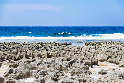 犬田布海岸のゴツゴツした岩場と海の写真