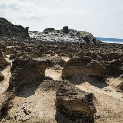 犬田布海岸のメランジ堆積物と隆起サンゴ礁跡の写真