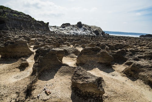 犬田布海岸のメランジ堆積物と隆起サンゴ礁跡の写真