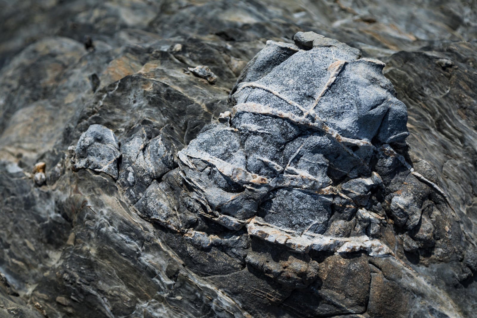 「堆積物がメランジ状に混じりあった岩」の写真