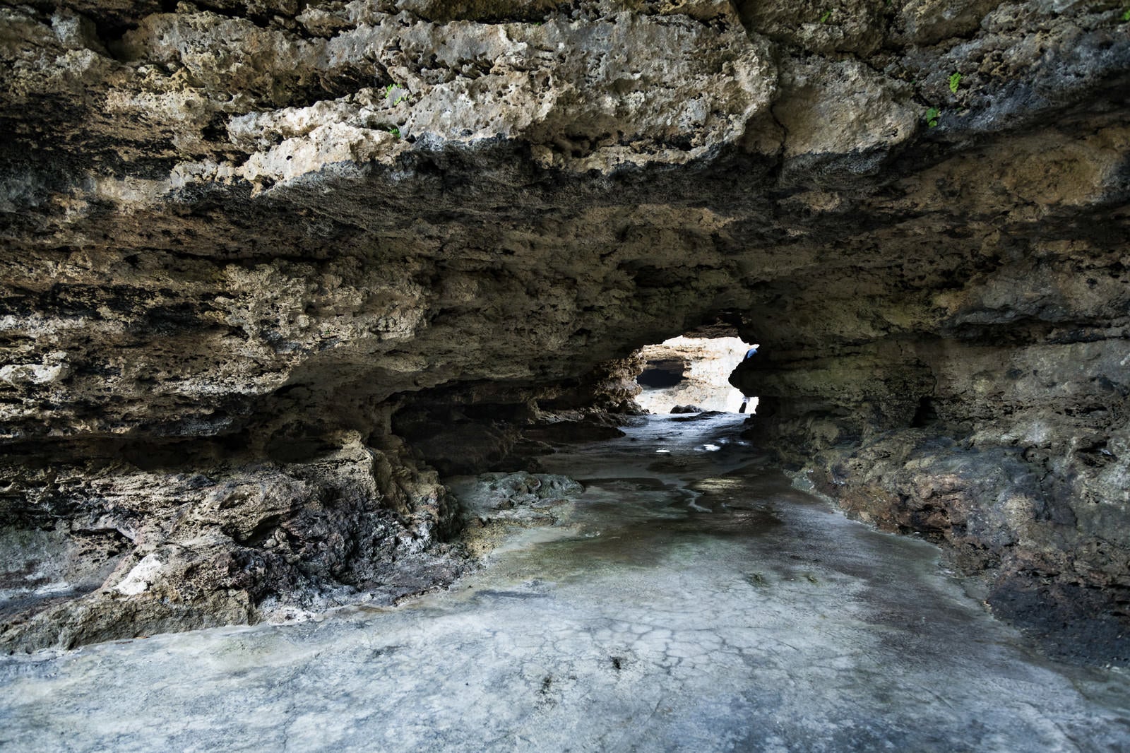 「犬田布海岸に続くトンネル」の写真