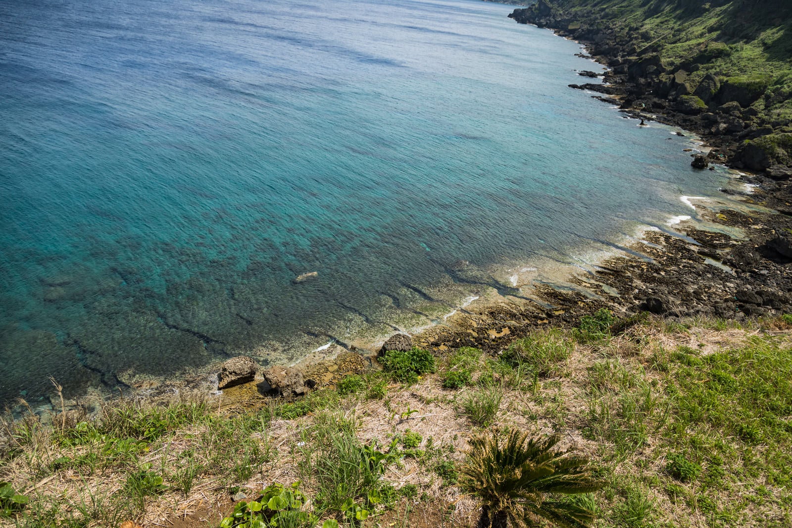 「犬田布岬の海岸」の写真