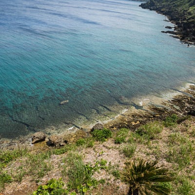 犬田布岬の海岸の写真