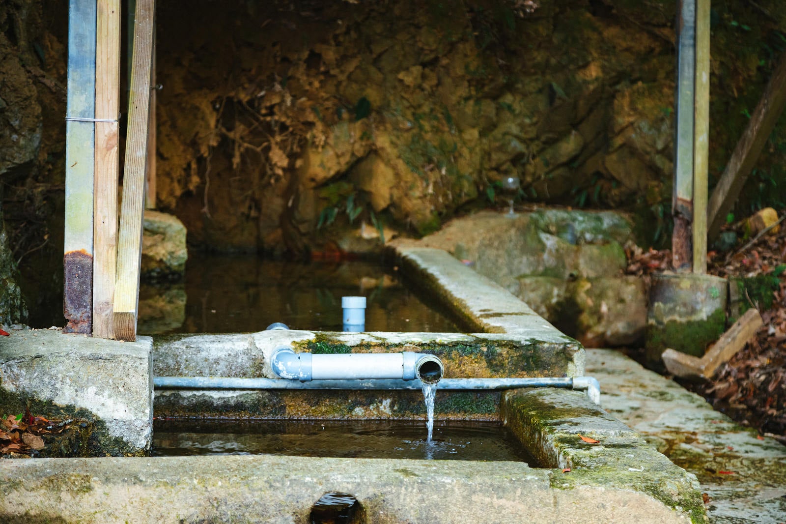 「徳之島の貴重な湧水」の写真