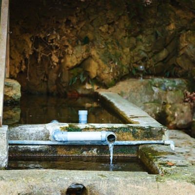 徳之島の貴重な湧水の写真