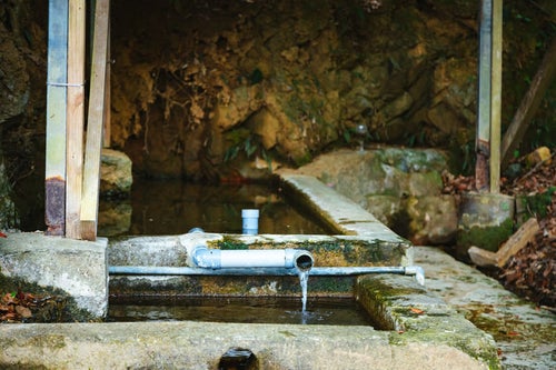 徳之島の貴重な湧水の写真