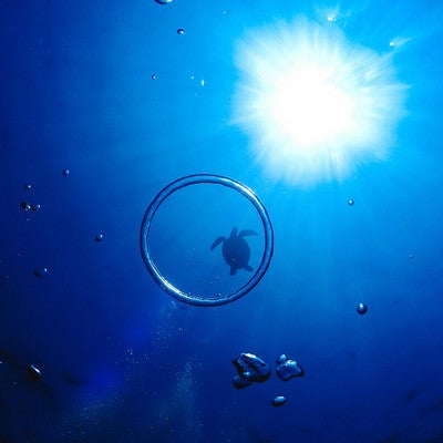 エアーの輪っかと海亀のシルエットの写真