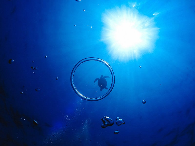 エアーの輪っかと海亀のシルエットの写真
