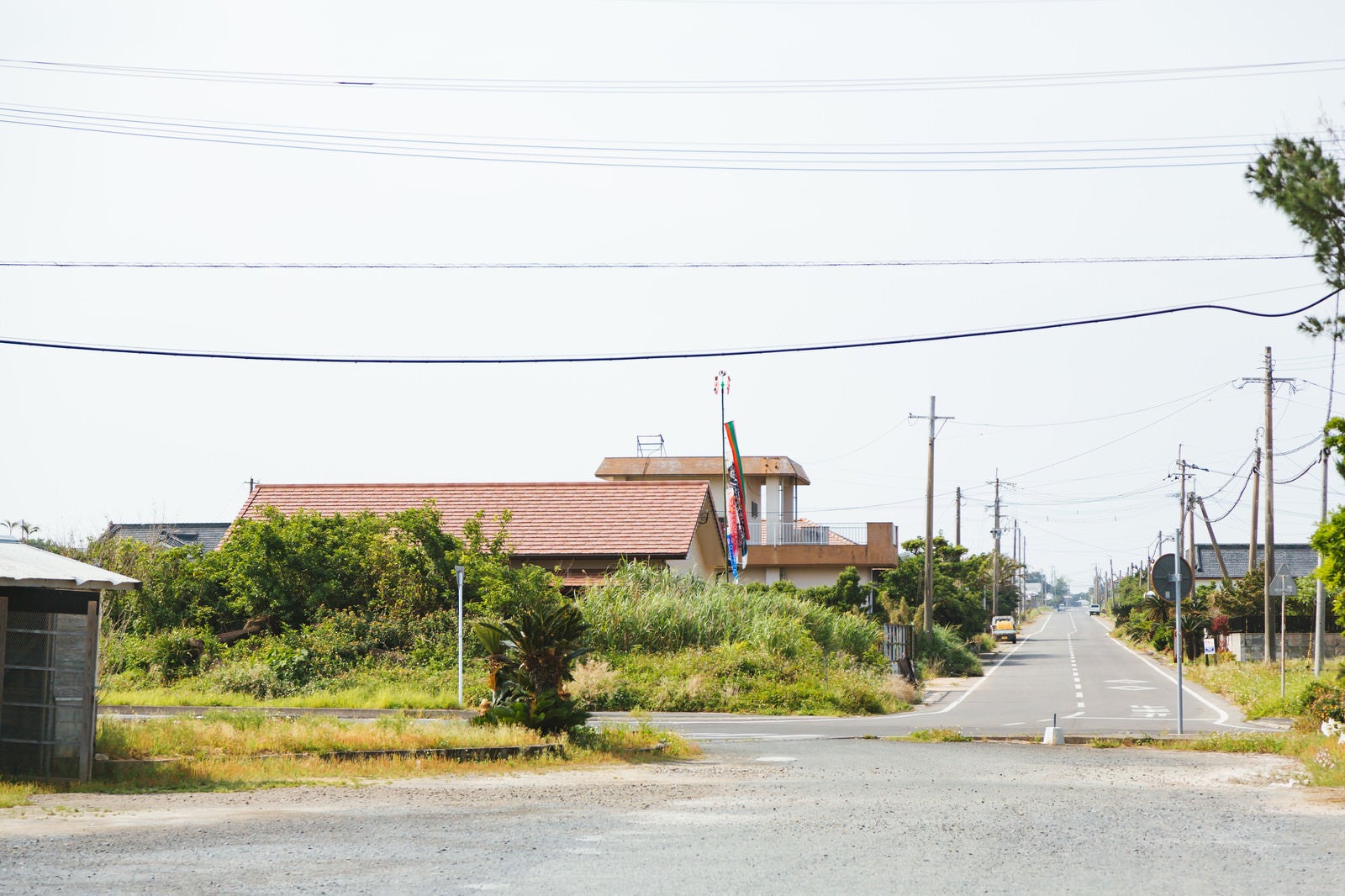 「鹿児島県大島郡天城町にある旧陸軍浅間飛行場滑走路跡の様子」の写真