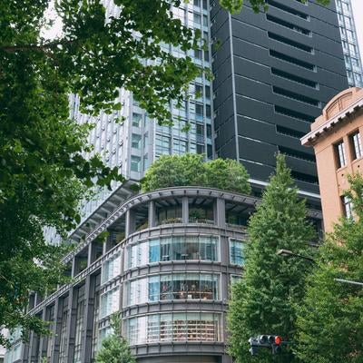 街路樹に包まれた現代の高層ビルの素材