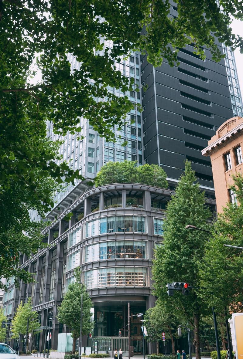 「街路樹に包まれた現代の高層ビル」の写真