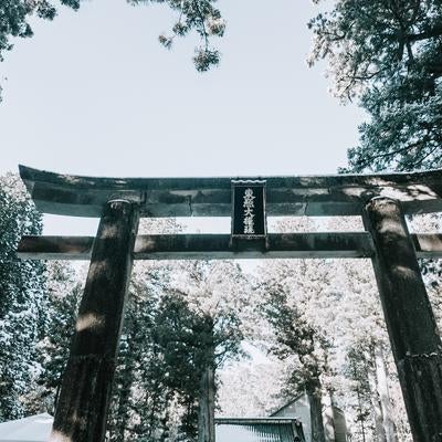 日光東照宮の黒い鳥居をくぐり杉林へ続く参拝道の風景の写真