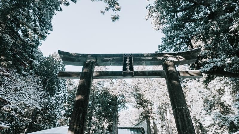 View of the Approach Path Continuing into the Cedar Forest After Passing Through the Black Torii Gate of Nikko Toshogu Shrine