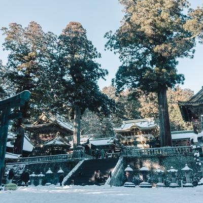 雪が積もった日光東照宮の境内と緑色の鳥居の参拝風景の写真