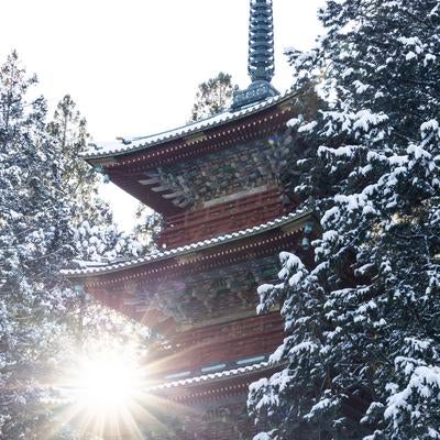 冬の参拝客向けに雪景色の中で存在感を放つ日光東照宮五重塔の社殿の写真