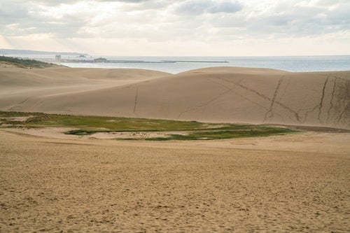 鳥取砂丘から望む海岸の写真