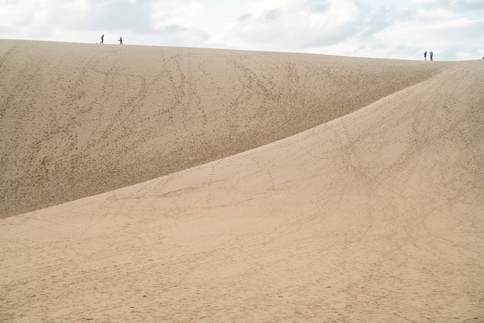 「蟻のように見える観光客と鳥取砂丘」の写真